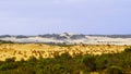 The Pinnacles Desert - Western Australia Royalty Free Stock Photo