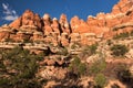 Canyonlands National Park Needles District Utah Royalty Free Stock Photo