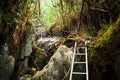 Pinnacles trek in gunung mulu national park Royalty Free Stock Photo