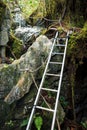 Pinnacles trek in gunung mulu national park