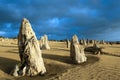 Pinnacles, West Australia Royalty Free Stock Photo