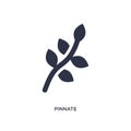 pinnate icon on white background. Simple element illustration from nature concept Royalty Free Stock Photo