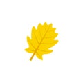 Pinnatifid oak leaf flat icon Royalty Free Stock Photo