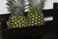 Pineapples Royalty Free Stock Photo