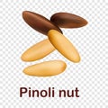 Pinoli nut icon, realistic style Royalty Free Stock Photo
