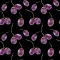 Pinot noir grape seamless pattern