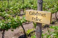 PINOT NOIR Wine sign on vineyard. Vineyard landcape Royalty Free Stock Photo