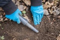 Pinpointer metal detector in digger archaeologist hand and ancient coin.