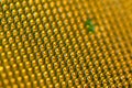 Pins of central processor unit. CPU close-up. Bottom side Royalty Free Stock Photo