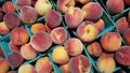 Pint Baskets peaches Royalty Free Stock Photo