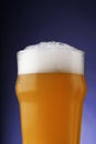 A pint of beer with foam in glass with water drops on a dark background with gradient lighting Royalty Free Stock Photo