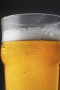 A pint of beer with foam in glass with water drops on a dark background and reflection in the surface Royalty Free Stock Photo