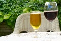 A pint of beer and a glass of red wine set against a green plant, on white table. Royalty Free Stock Photo