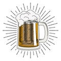 Pint of beer - illustration/ clipart Royalty Free Stock Photo