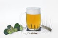 Pint full of beer with dried barley and hop cones Royalty Free Stock Photo