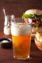 Pint glass of india pale ale beer and fastfood Royalty Free Stock Photo