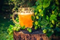 Pint golden beer wooden trunk Royalty Free Stock Photo