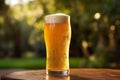 A pint of light beer with beer head in frosty glass on the wooden table in summer, blurred garden on background, drinks and Royalty Free Stock Photo