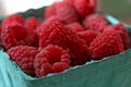 Pint of Red Raspberries Royalty Free Stock Photo