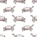 Pinta island turtle seamless pattern Royalty Free Stock Photo