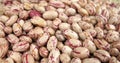 Pinto beans Royalty Free Stock Photo