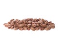 Pinto Beans Royalty Free Stock Photo