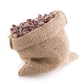 Pinto beans bag Royalty Free Stock Photo