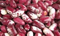 Pinto beans multicolor Royalty Free Stock Photo