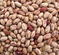 Pinto beans multicolor Royalty Free Stock Photo