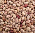 Pinto beans multicolor Royalty Free Stock Photo