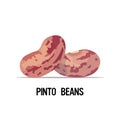 Pinto beans organic healthy vegetarian food on white background