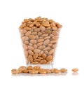 Pinto beans in plastic bowl isolated on a white background