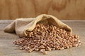 Pinto Beans in Sack Royalty Free Stock Photo