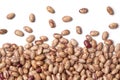 Pinto beans on white background Royalty Free Stock Photo