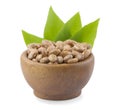 Pinto beans in wooden bowl an isolated on white backgrpund