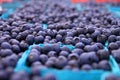 Pints of Blue Berries Royalty Free Stock Photo