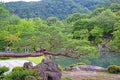 Pinus thunbergii, mountain, lake with reflection in Japan zen ga