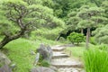 Pinus thunbergii trees, stone footpath and staircases in park