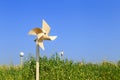 Pinwheel in field.