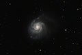 The Pinwheel Galaxy