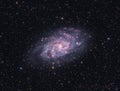 Pinwheel Galaxy - M33 Royalty Free Stock Photo