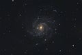 Pinwheel Galaxy Messier 101 Royalty Free Stock Photo