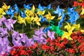 Pinwheel in the garden Royalty Free Stock Photo