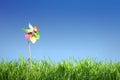 Pinwheel on the grass Royalty Free Stock Photo