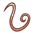 Pinworm hand drawn icon. Human, animal parasite pictogram. Infection agent of enterobiasis disease.