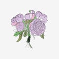 Pion and rose drawing flowers, Hand-drawn Wild Rose isolated.