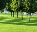 Long shadows at Pioneer park in downtown Kelowna, BC, Canada Royalty Free Stock Photo