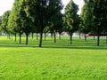 Long shadows at Pioneer park in downtown Kelowna, BC, Canada Royalty Free Stock Photo