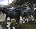 Pioneer Plaza cattle sculpture in Dallas TX