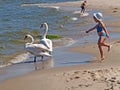 PIONEER, RUSSIA. The little girl plays with swan